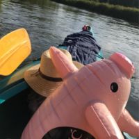 Ce jocuri să luați într-o excursie de 1 Mai?